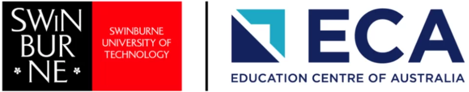 Partner institution